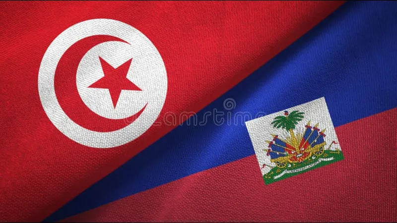 Cầu thủ Haiti và Tunisia đấu quyết liệt trên sân cỏ Cầu thủ Haiti và Tunisia đấu quyết liệt trên sân cỏ
